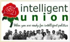 Intelligent Union Logo